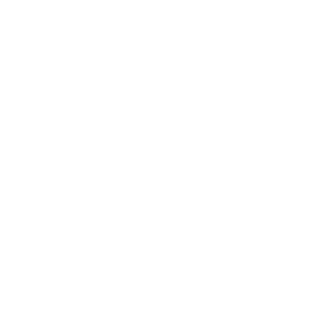 Téléphone Icon